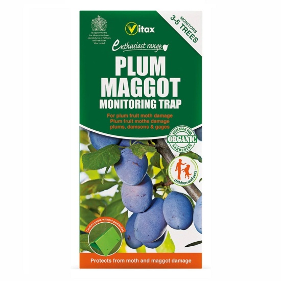 Vitax Plum Maggot Monitoring Trap