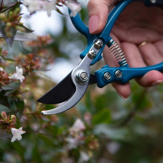 Darlac 'Sarah Raven' Ergo Pruner DP3253