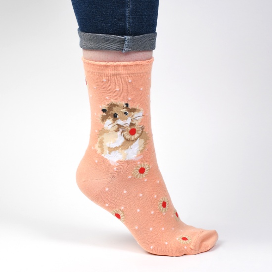 Wrendale 'Diet Starts Tomorrow' Hamster Socks